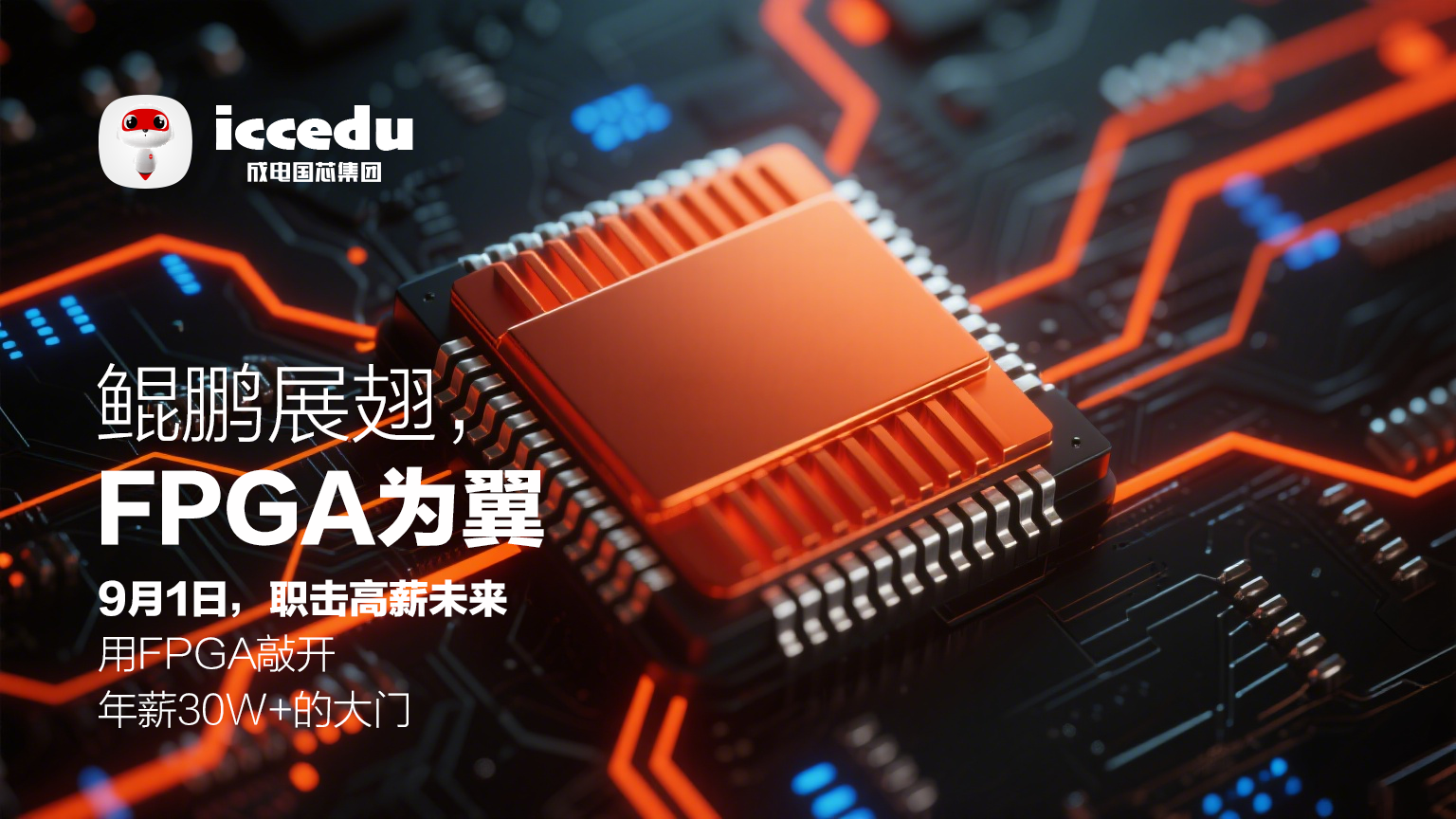 FPGA技术应用领域示意图